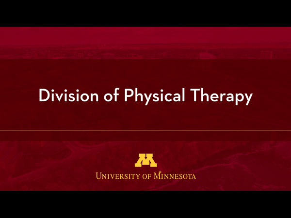 Division of Physical Therapy